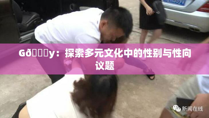 G🈚y：探索多元文化中的性别与性向议题