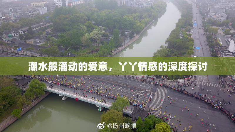 潮水般涌动的爱意，丫丫情感的深度探讨