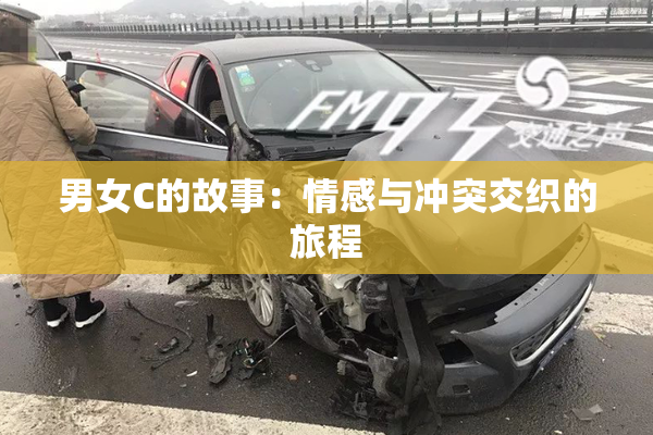 男女C的故事：情感与冲突交织的旅程