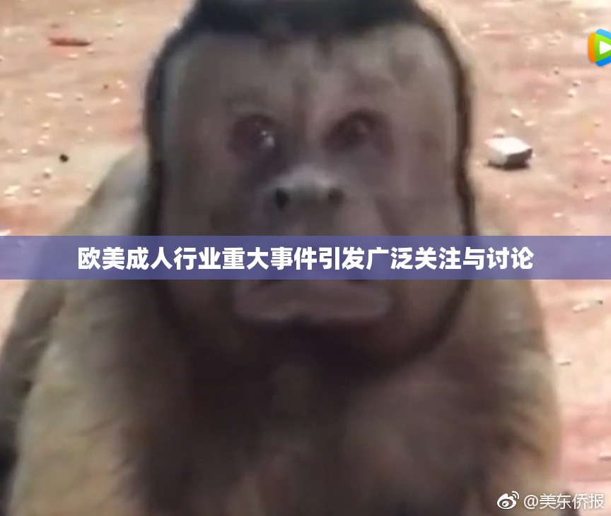 欧美成人行业重大事件引发广泛关注与讨论