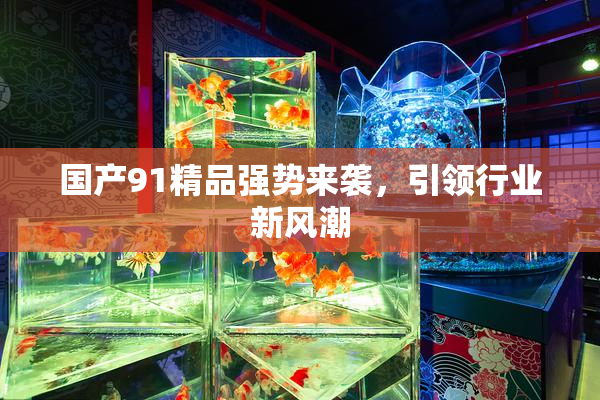 国产91精品强势来袭，引领行业新风潮