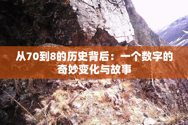 从70到8的历史背后：一个数字的奇妙变化与故事