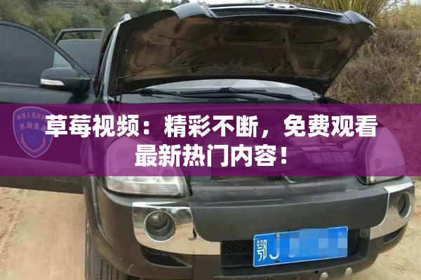 草莓视频：精彩不断，免费观看最新热门内容！