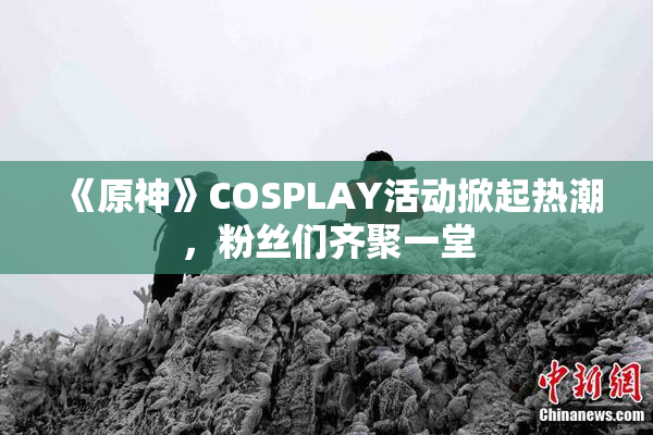 《原神》COSPLAY活动掀起热潮，粉丝们齐聚一堂