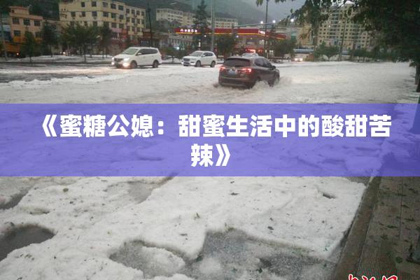 《蜜糖公媳：甜蜜生活中的酸甜苦辣》