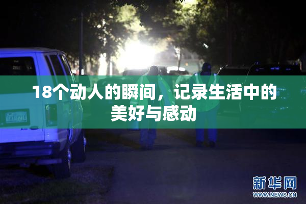 18个动人的瞬间，记录生活中的美好与感动