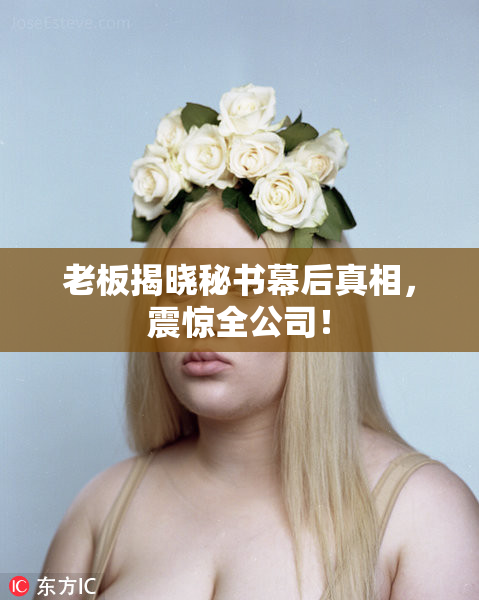 老板揭晓秘书幕后真相，震惊全公司！
