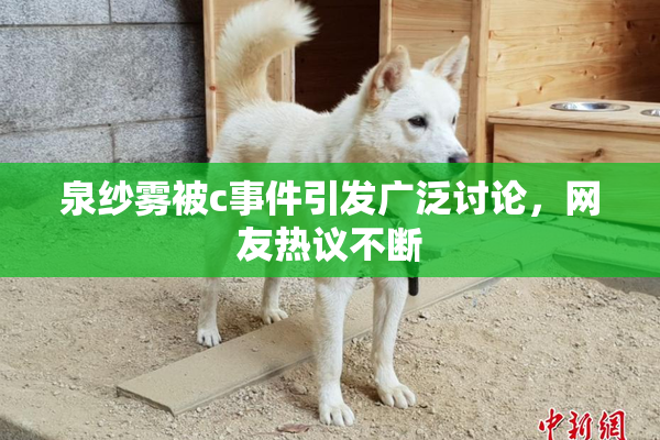 泉纱雾被c事件引发广泛讨论，网友热议不断