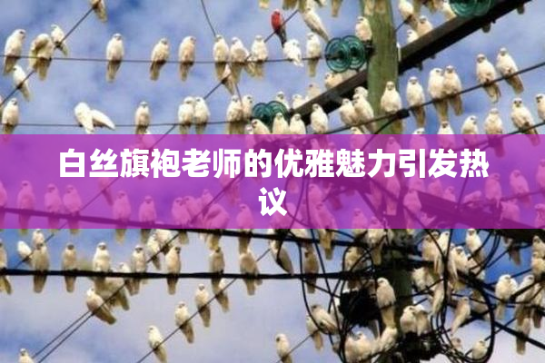 白丝旗袍老师的优雅魅力引发热议