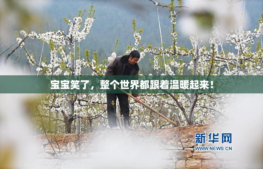 宝宝笑了，整个世界都跟着温暖起来！
