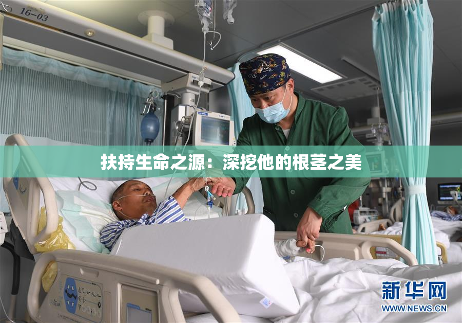 扶持生命之源：深挖他的根茎之美