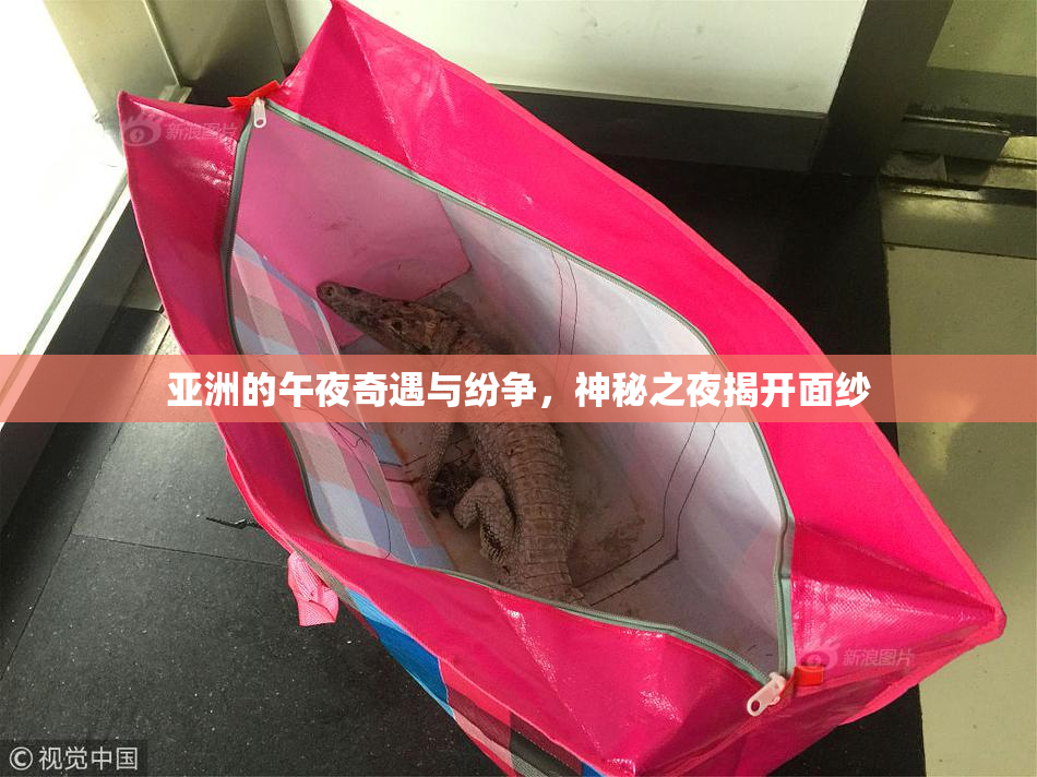 亚洲的午夜奇遇与纷争，神秘之夜揭开面纱