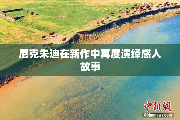 尼克朱迪在新作中再度演绎感人故事