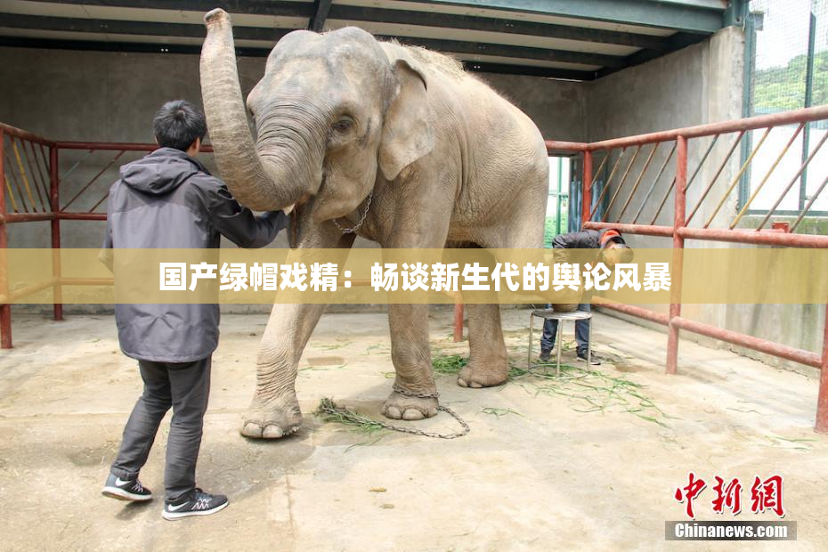 国产绿帽戏精：畅谈新生代的舆论风暴
