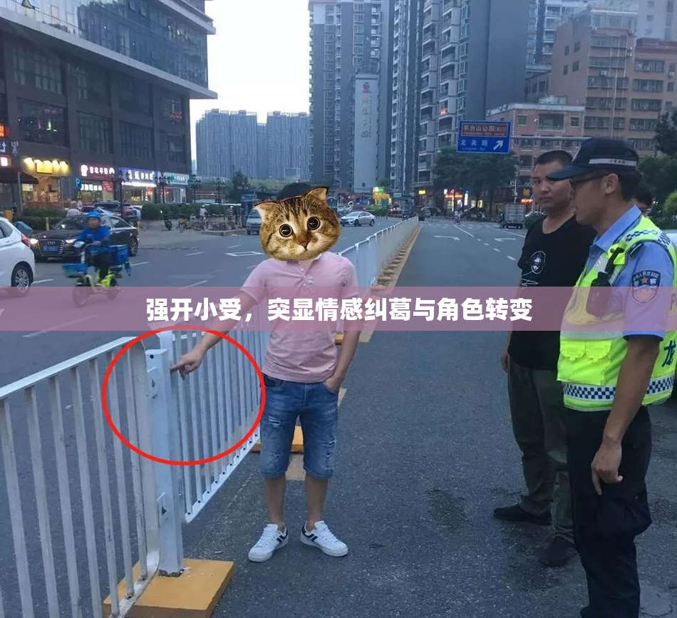强开小受，突显情感纠葛与角色转变