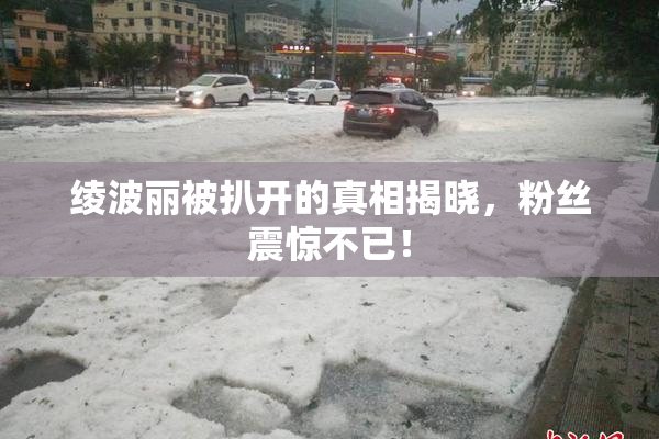 绫波丽被扒开的真相揭晓，粉丝震惊不已！