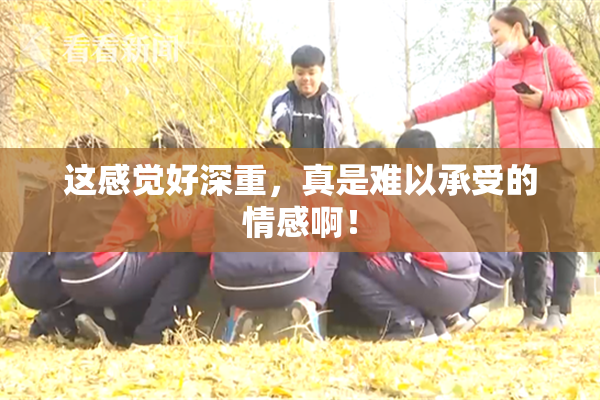 这感觉好深重，真是难以承受的情感啊！