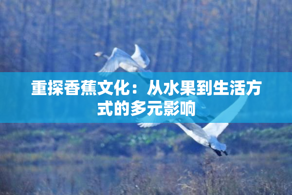 重探香蕉文化：从水果到生活方式的多元影响