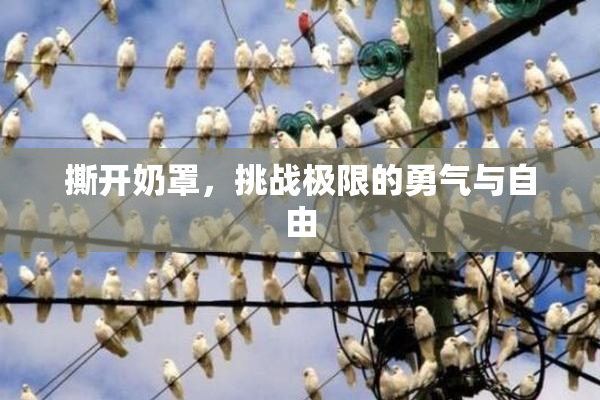 撕开奶罩，挑战极限的勇气与自由