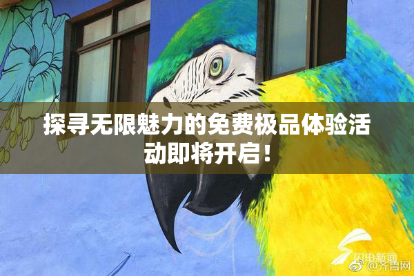 探寻无限魅力的免费极品体验活动即将开启！
