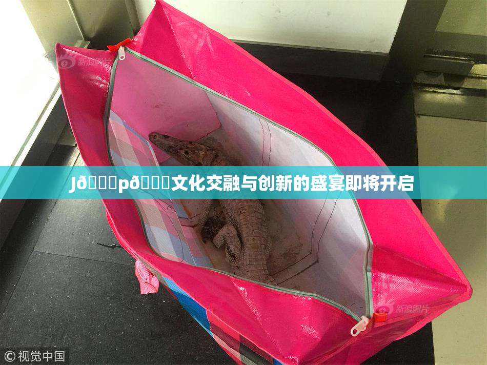 J🈚p🈚文化交融与创新的盛宴即将开启