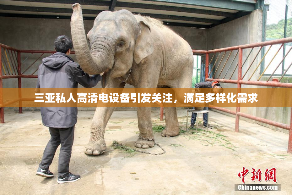 三亚私人高清电设备引发关注，满足多样化需求