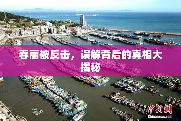 春丽被反击，误解背后的真相大揭秘