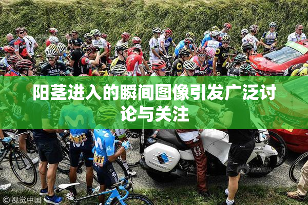 阳茎进入的瞬间图像引发广泛讨论与关注