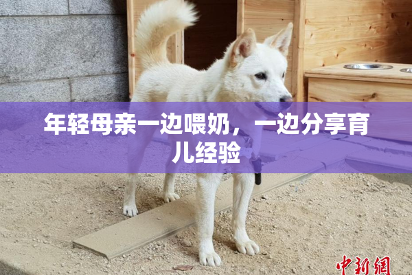 年轻母亲一边喂奶，一边分享育儿经验