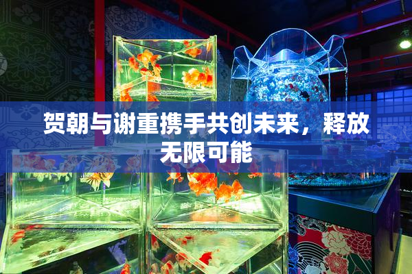 贺朝与谢重携手共创未来，释放无限可能