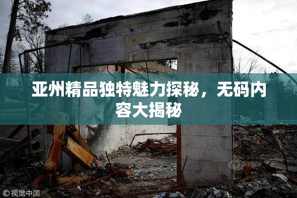 亚州精品独特魅力探秘，无码内容大揭秘