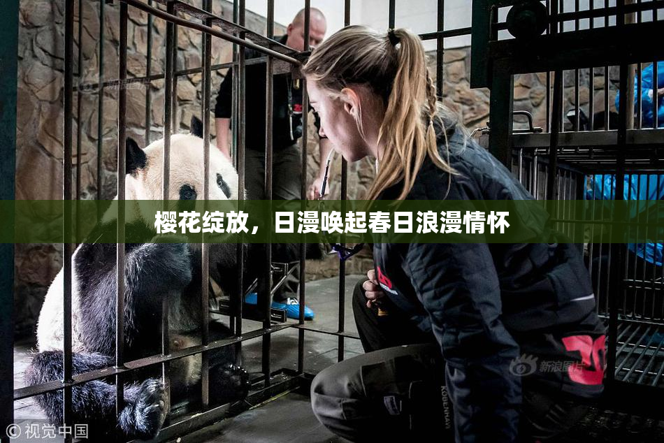 樱花绽放，日漫唤起春日浪漫情怀