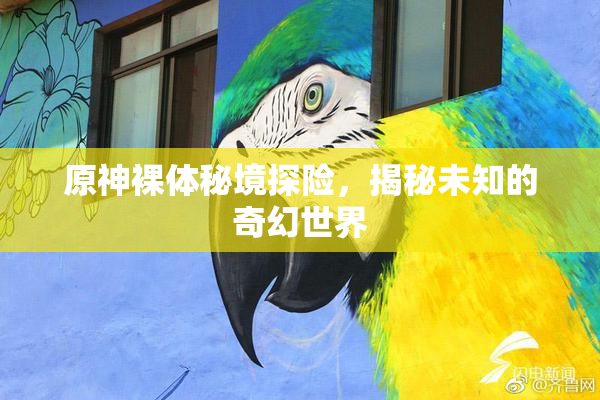 原神裸体秘境探险，揭秘未知的奇幻世界