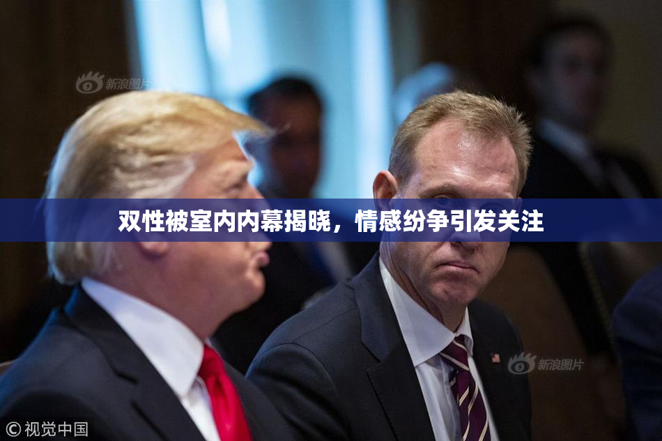 双性被室内内幕揭晓，情感纷争引发关注
