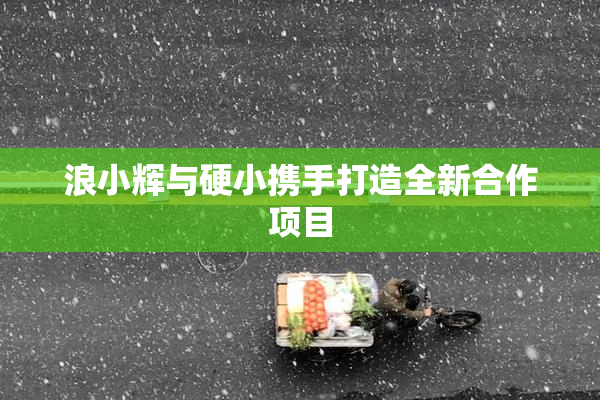 浪小辉与硬小携手打造全新合作项目