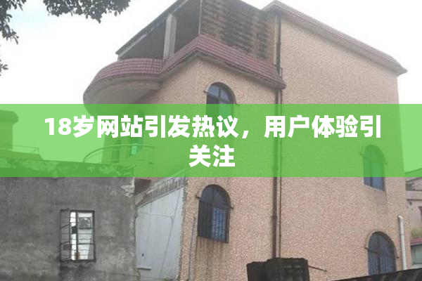 18岁网站引发热议，用户体验引关注