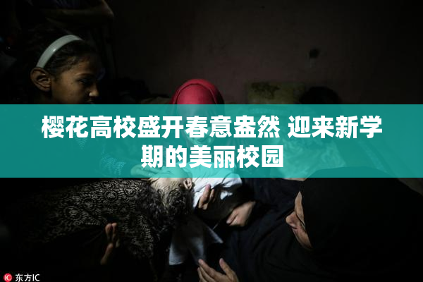 樱花高校盛开春意盎然 迎来新学期的美丽校园