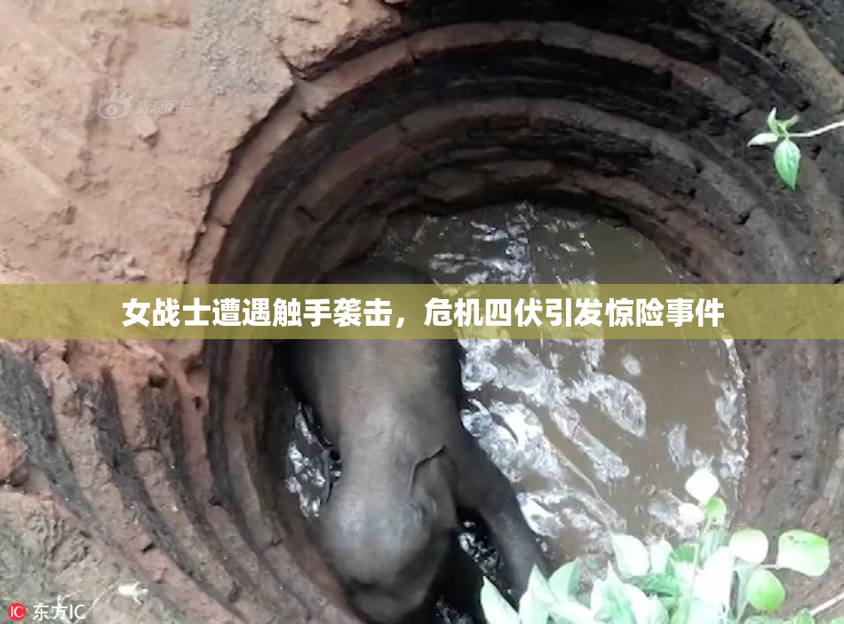 女战士遭遇触手袭击，危机四伏引发惊险事件