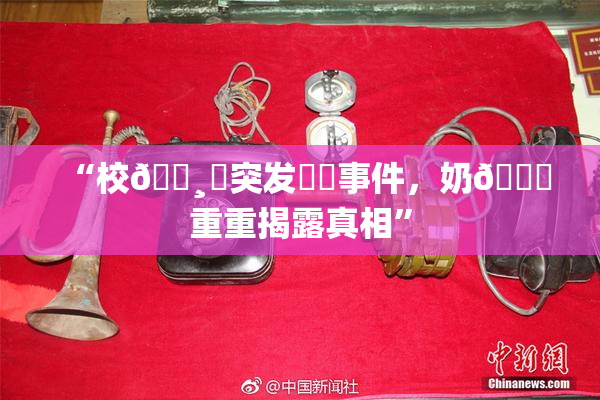 “校🌸‌突发❌‌事件，奶🔞重重揭露真相”