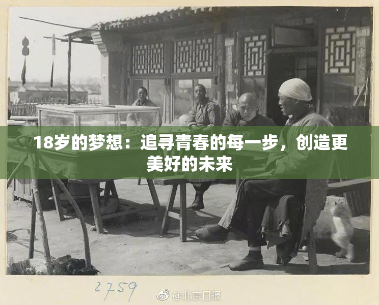 18岁的梦想：追寻青春的每一步，创造更美好的未来