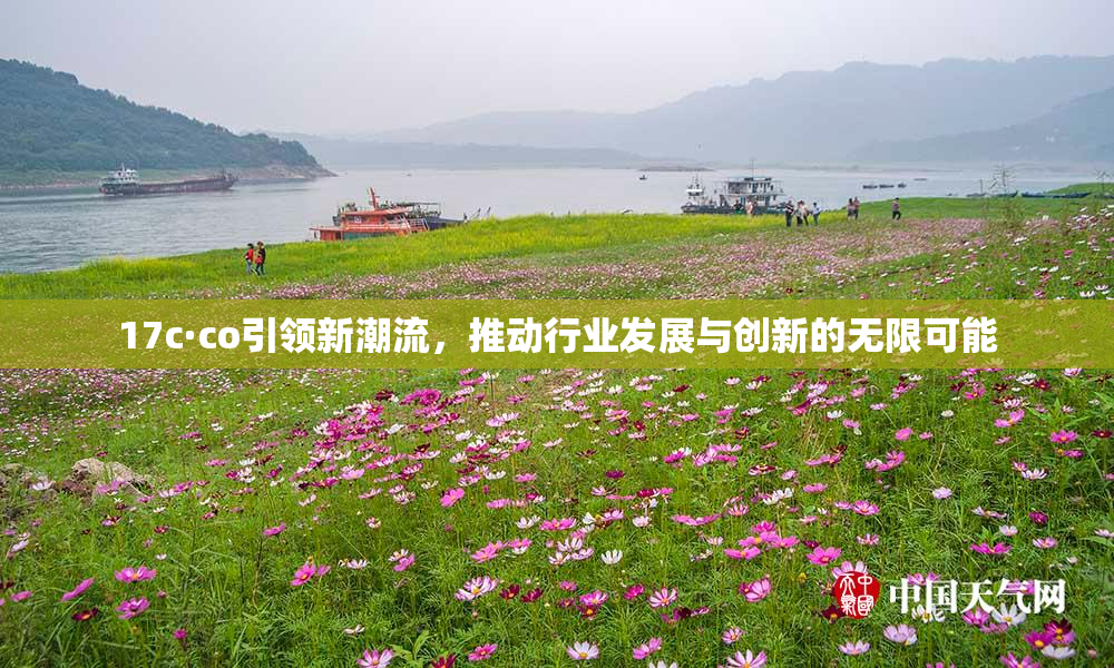 17c·co引领新潮流，推动行业发展与创新的无限可能