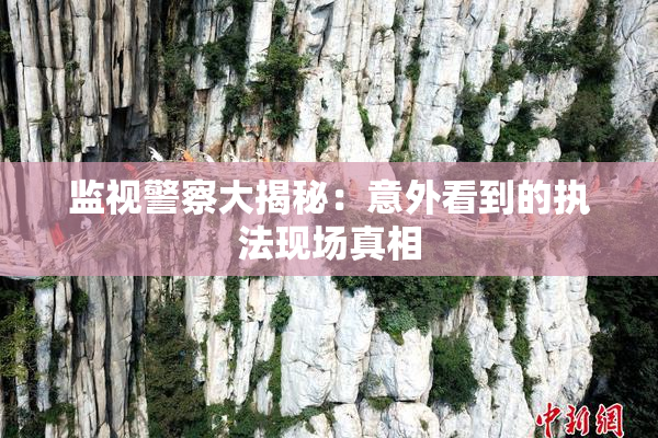 监视警察大揭秘：意外看到的执法现场真相