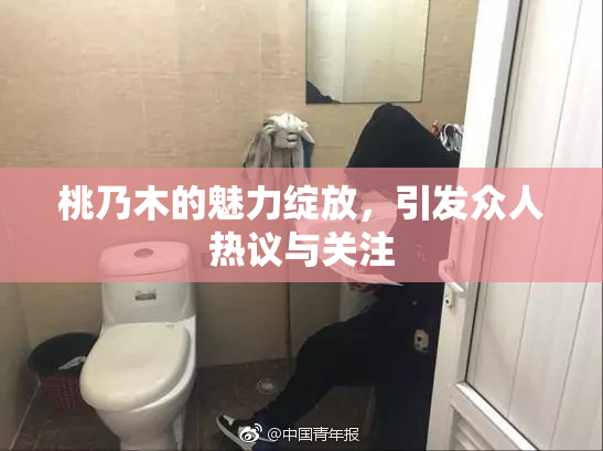 桃乃木的魅力绽放，引发众人热议与关注