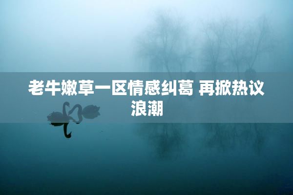老牛嫩草一区情感纠葛 再掀热议浪潮