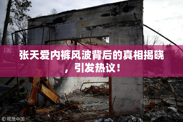 张天爱内裤风波背后的真相揭晓，引发热议！