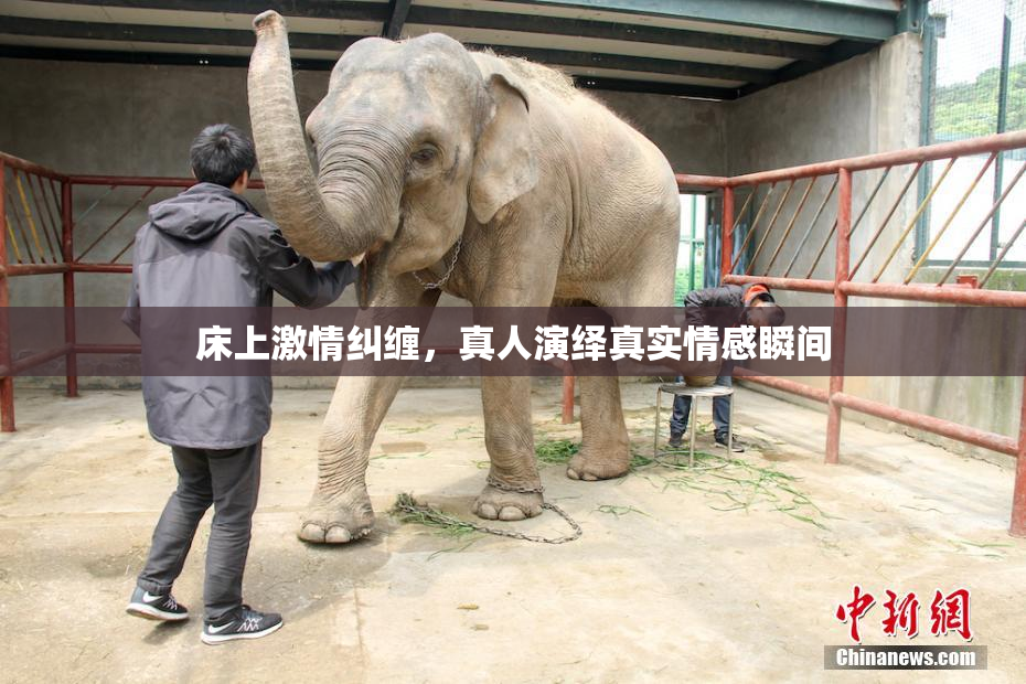 床上激情纠缠，真人演绎真实情感瞬间