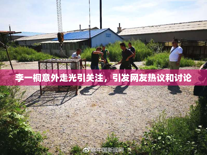 李一桐意外走光引关注，引发网友热议和讨论
