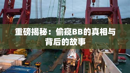 重磅揭秘：偷窥BB的真相与背后的故事