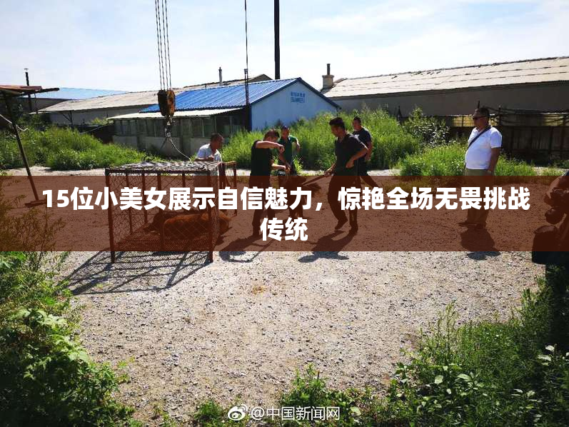 15位小美女展示自信魅力，惊艳全场无畏挑战传统