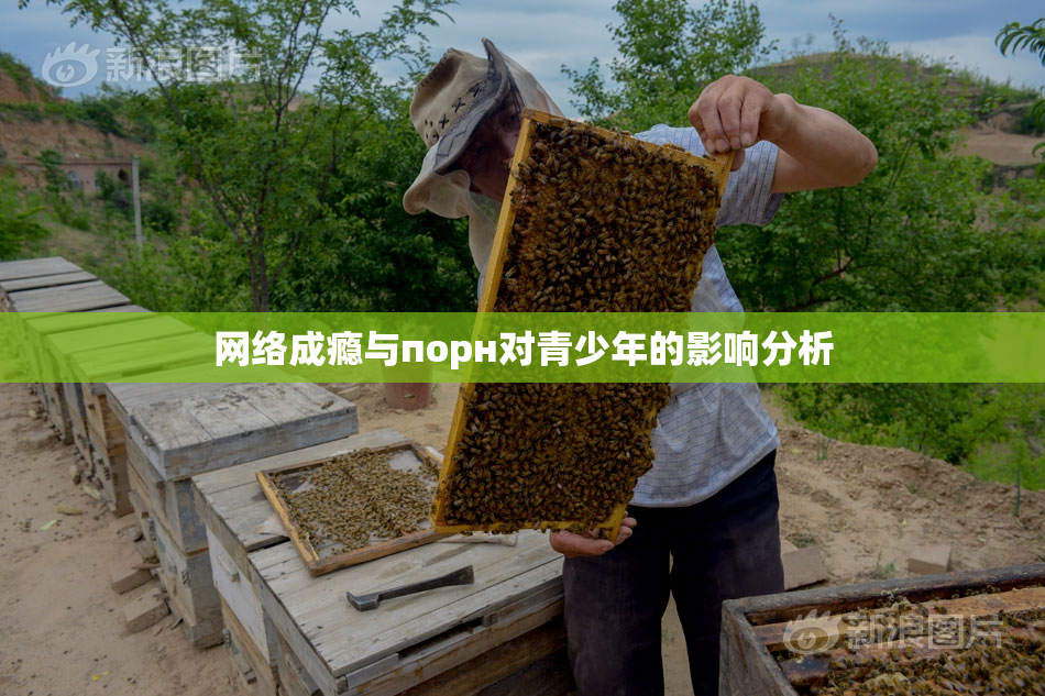 网络成瘾与порн对青少年的影响分析